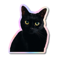 Holographic Pet Stickers