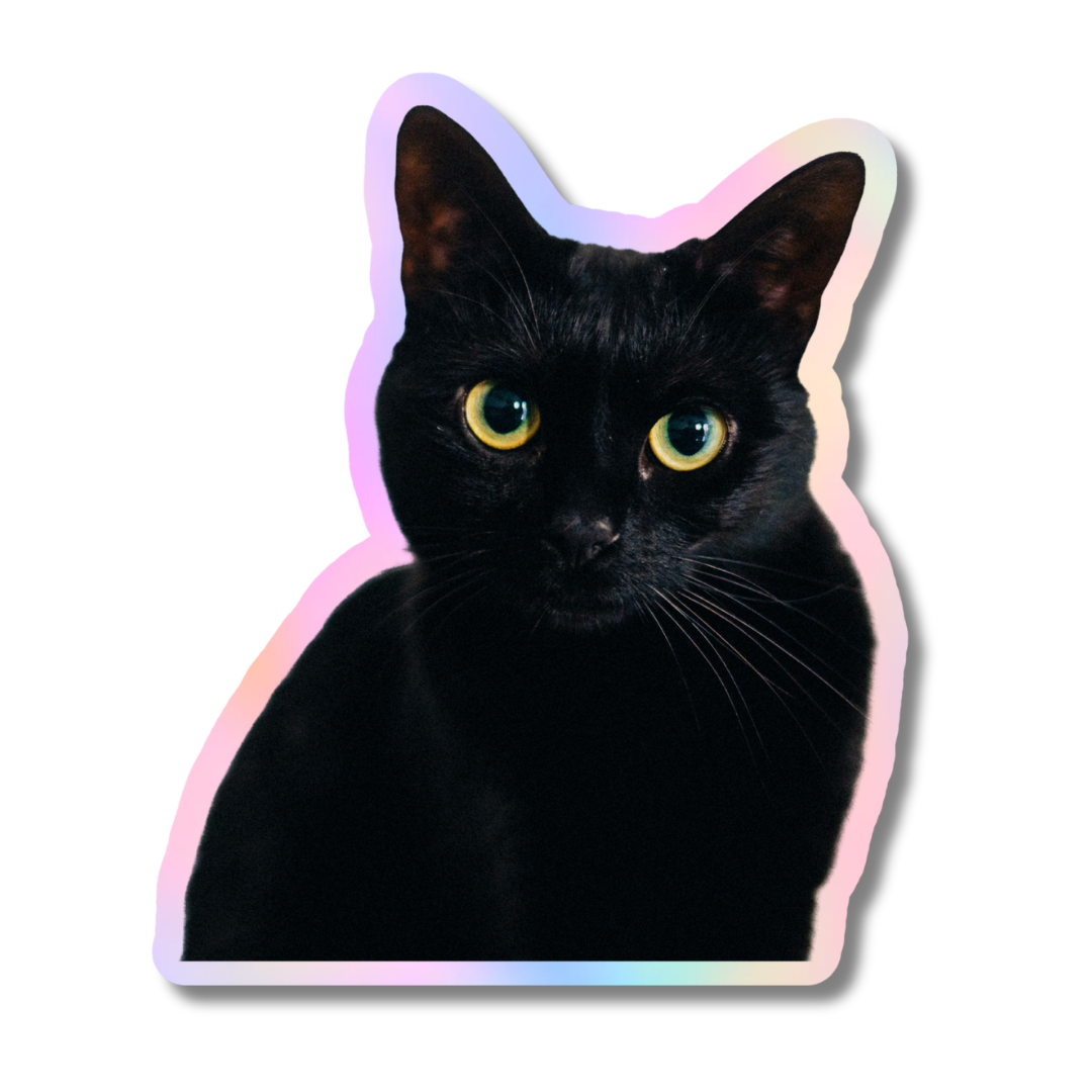 Holographic Pet Stickers