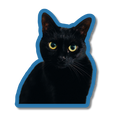Pet Stickers