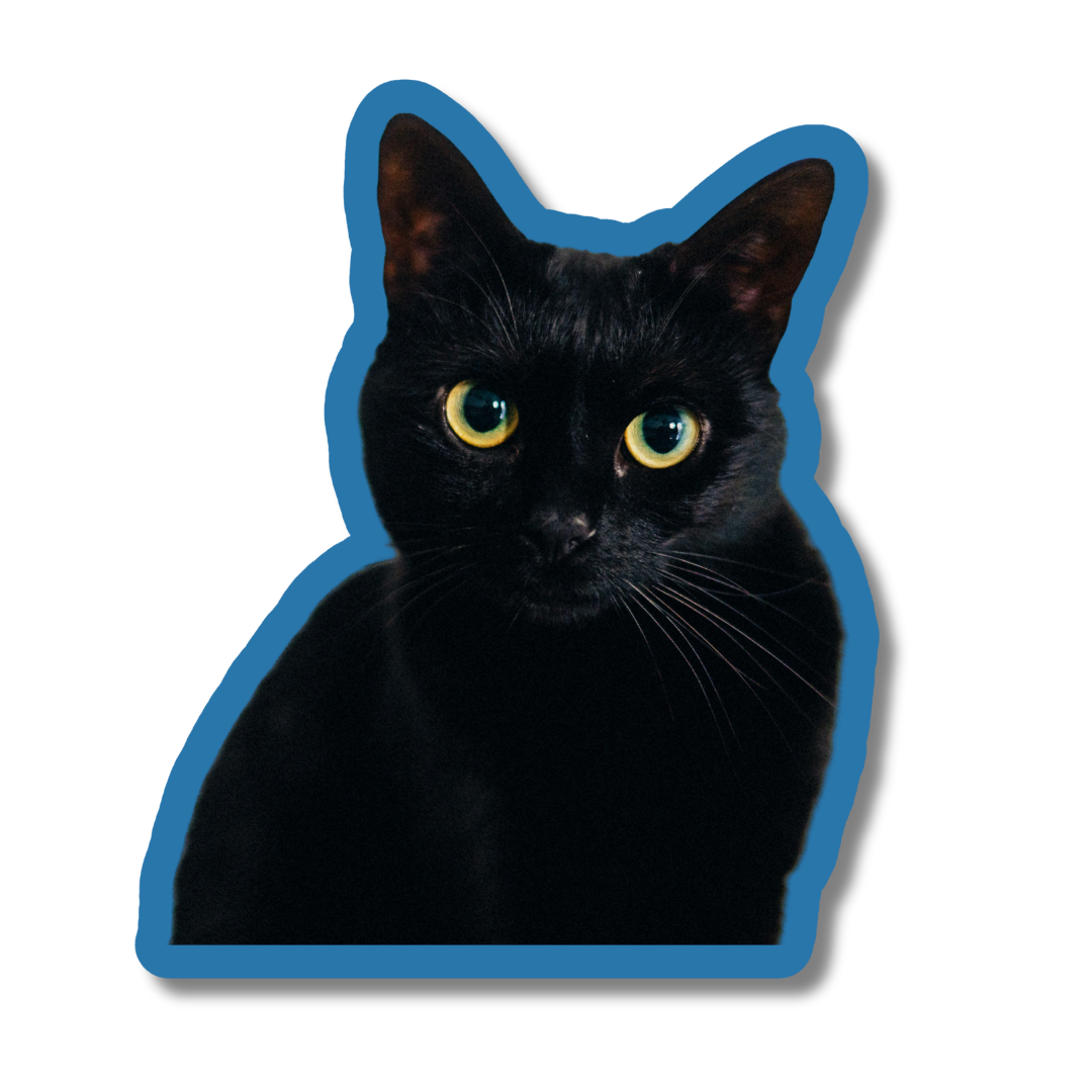 Pet Stickers